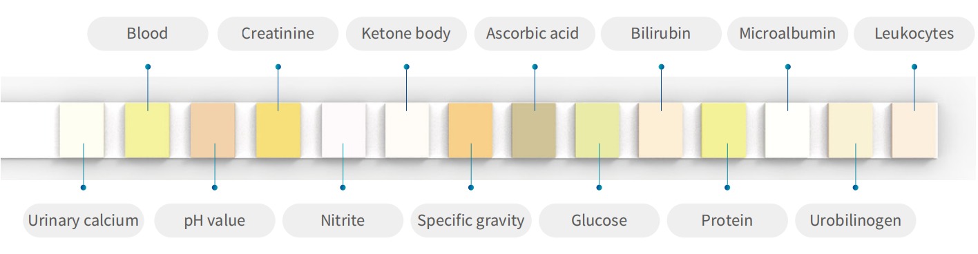 14 Parameter ACR Test Strip